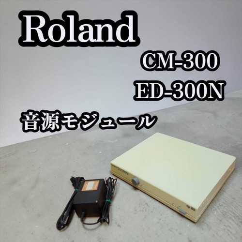 Roland 300 300n gs - roland,